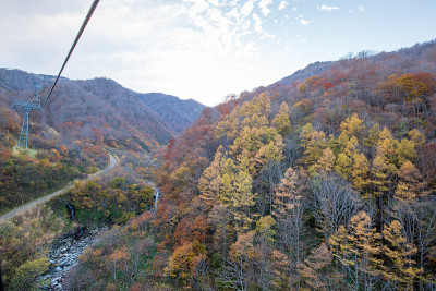 谷川山或谷川山充满生气的秋天树叶在南上，日本