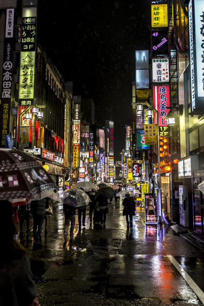 新宿的雨夜
