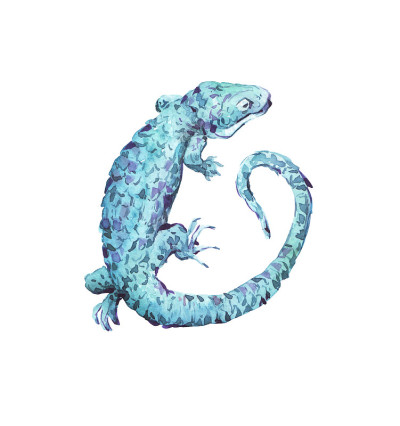 蜥蜴水彩插图手绘