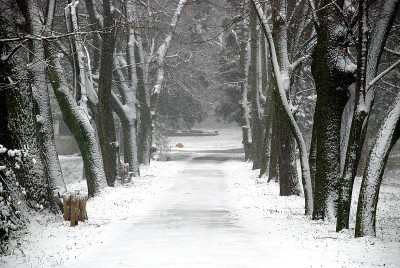 雪公园