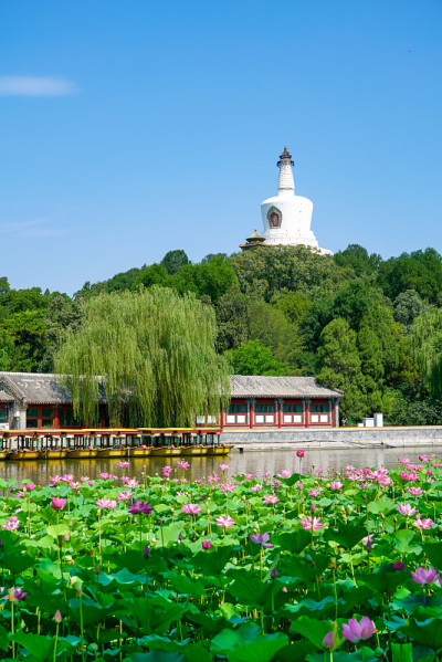 中国北京北海公园的夏天。北海公园的白塔石桥湖