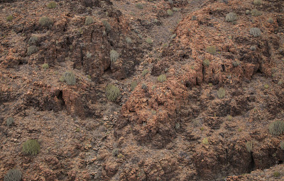 大加那利岛，岛上南部的Barranco del Toro的徒步旅行路线上的风景，充满了洞穴和岩洞，靠