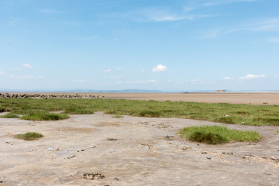 莫克姆海岸