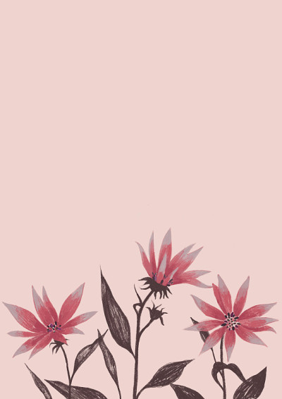 花的边界框