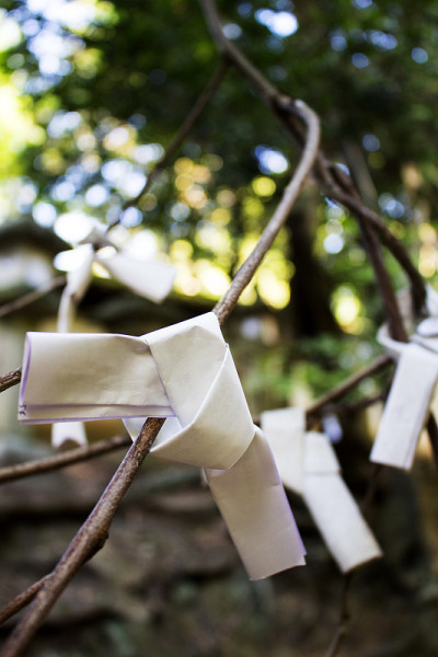 日本传统的财运纸在神社中供奉