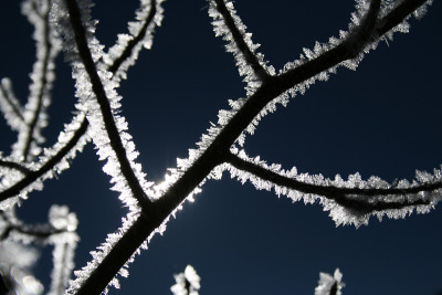 Frost2