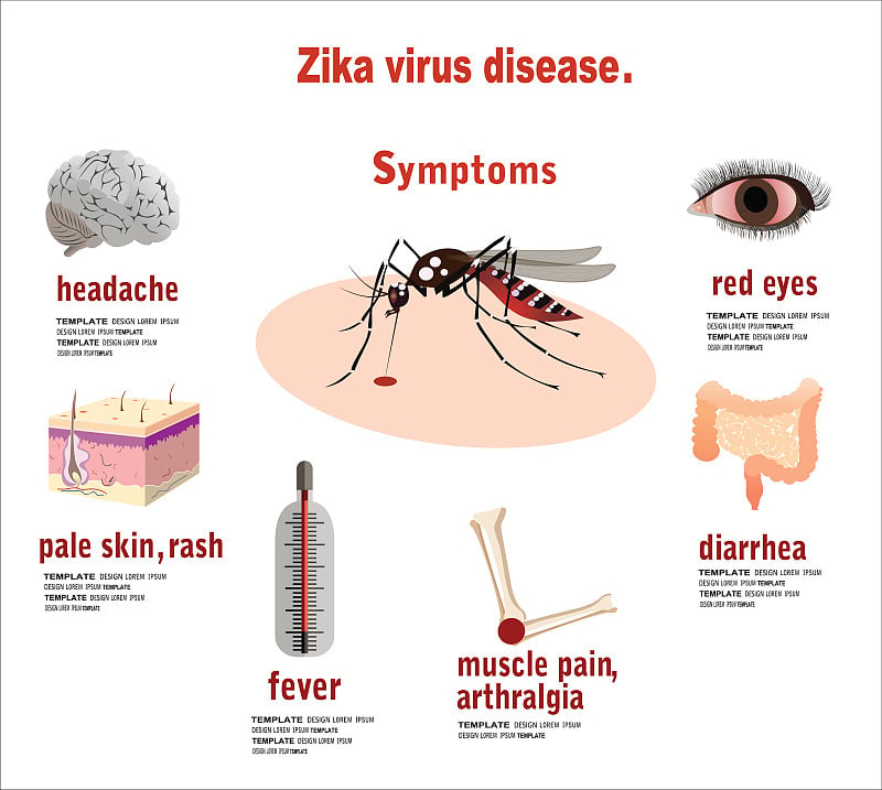 寨卡病毒症状信息图