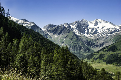 阿尔卑斯山