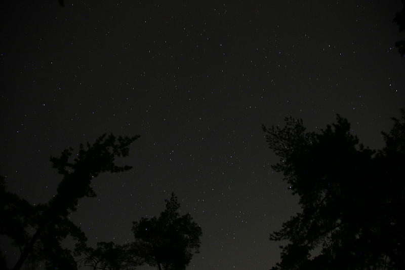 森林与星空