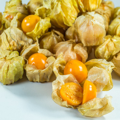 醋栗