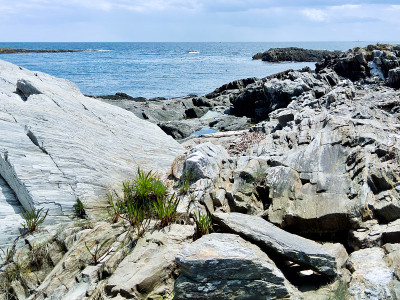 Jaquish岛场景