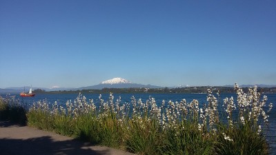 智利之旅