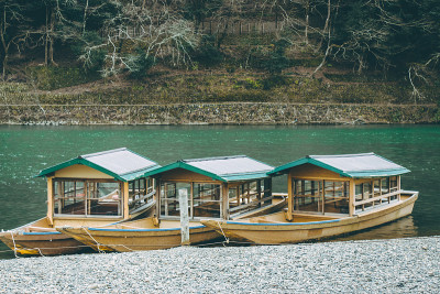 一艘鸬鹚船停靠在海滨。