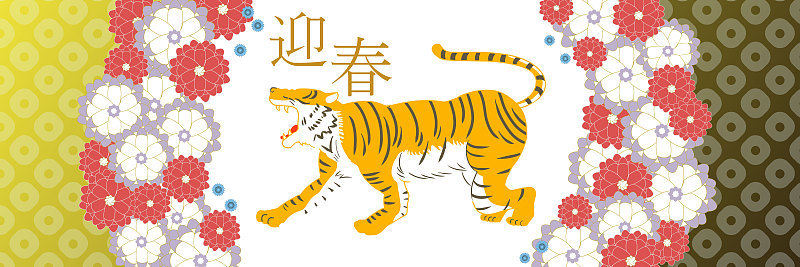 迎接新春的老虎横着挤着横幅