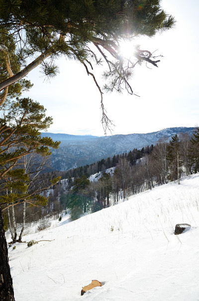 阿尔泰山麓