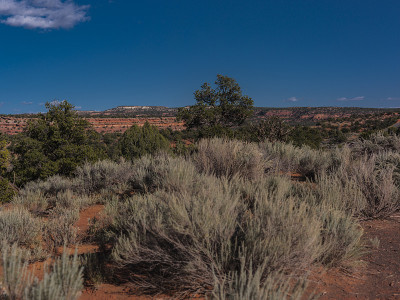 博尔德(美国犹他州)附近的Burr Trail Road