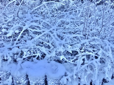 慕尼黑城下着雪。