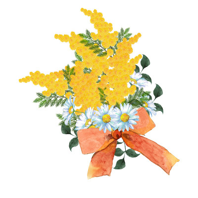 含羞草和雏菊花束