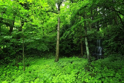 岩手县夏季瀑布