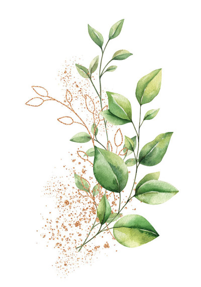 水彩花卉插图孤立的白色背景。花束植物，桉树，橄榄，树木，树枝，金色元素和油漆飞溅。手绘时尚模板