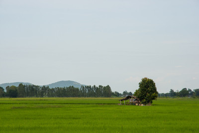 农村
