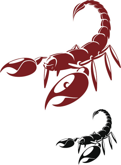 蝎子