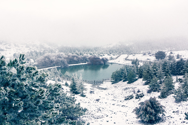 全景式的雪景冬季风景。官方国家公园。