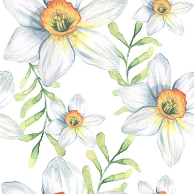 图案水仙花水彩插图彩绘