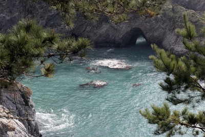 Point Lobos State Reserve, California