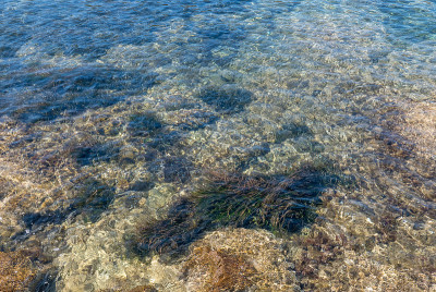 夏天发现波克雷勒斯岛。荒凉的海滩和松树在法国里维埃拉的景观