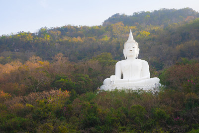 高雅艺术白佛在秋天山林