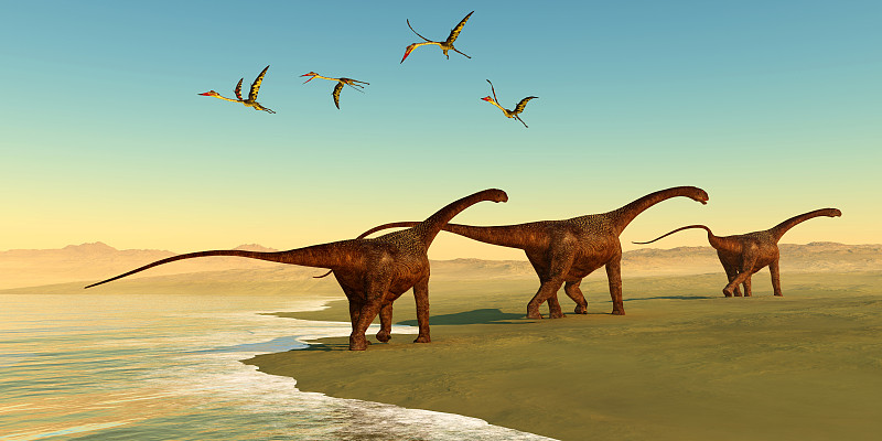 Malawisaurus恐龙海滩