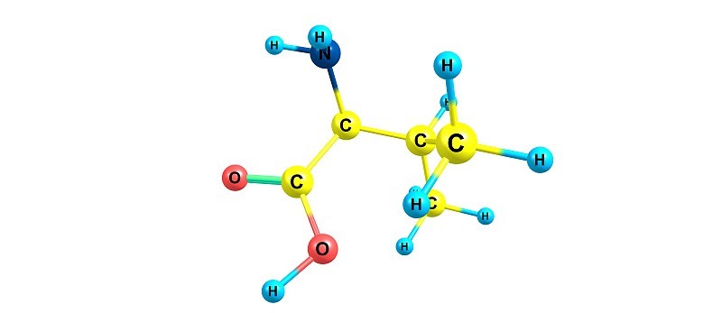 缬氨酸分子结构孤立在白色上