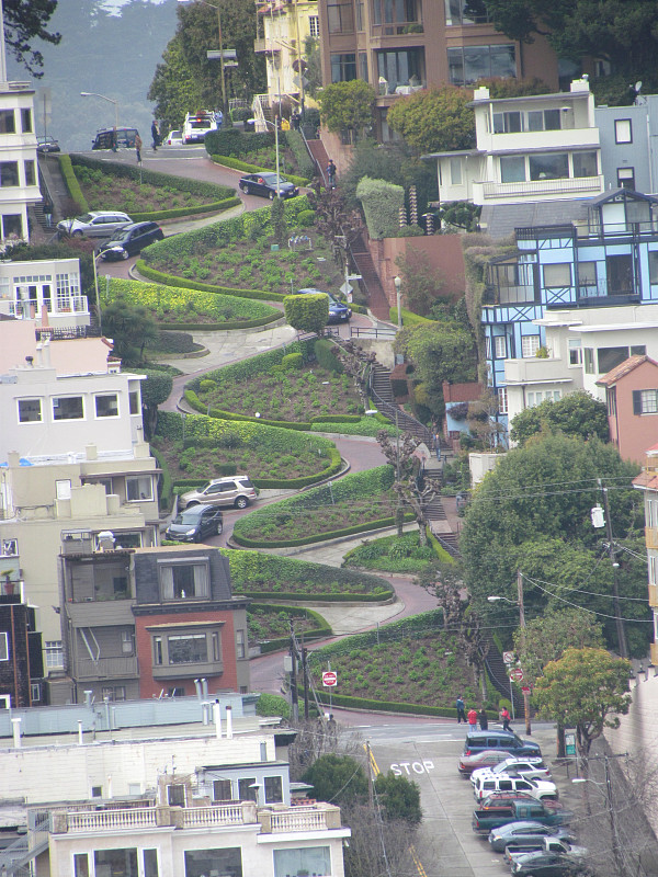 旧金山朗伯德街鸟瞰图