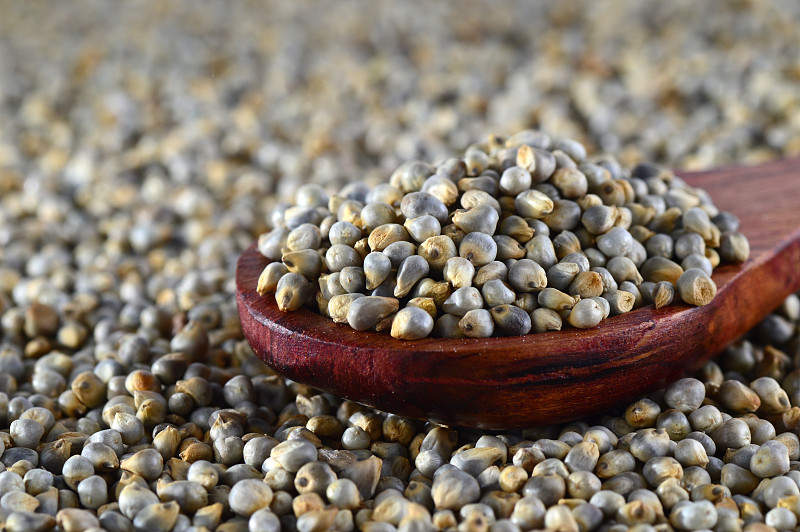 珍珠小米(Bajra)的特写，用木勺。