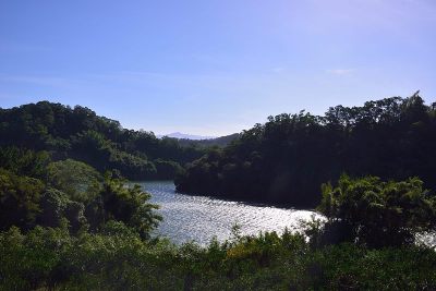 水库。