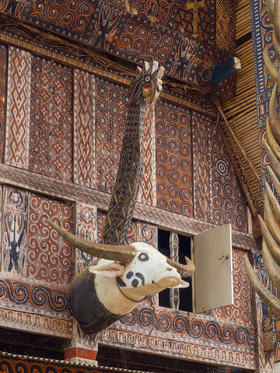 腔decor叫Toraja tribe“Katik”