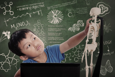 小男孩学习人体解剖学