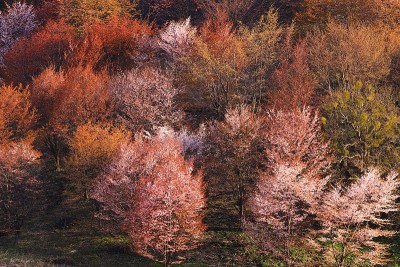 三冈市岩手县山清水秀