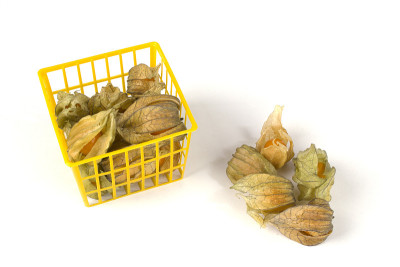 酸浆水果在塑料篮子里进进出出