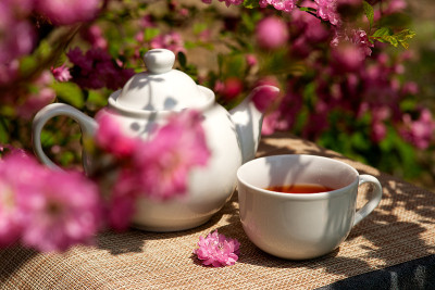 茶具在樱花丛中。