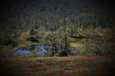 Hoegfjaellet的山湖