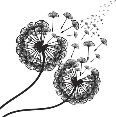 概念蒲公英插图。向量
