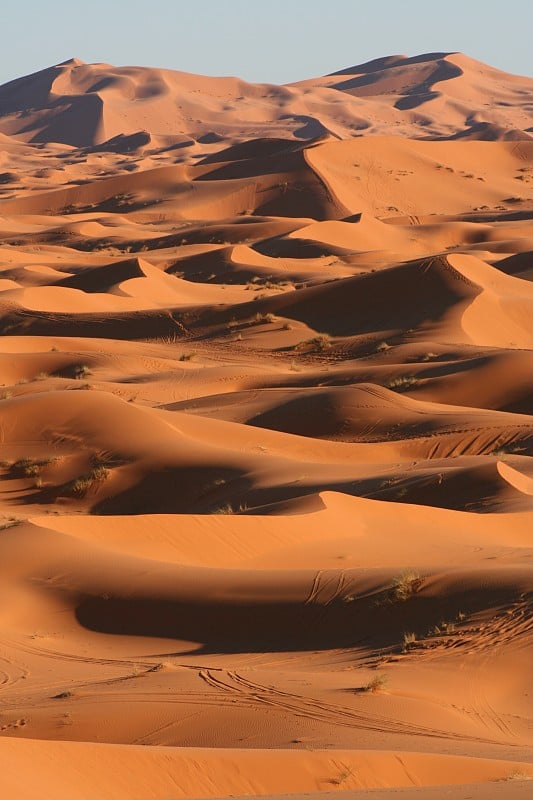 摩洛哥的erg Chebbi