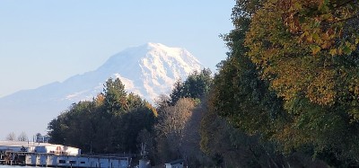 雷尼尔山