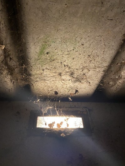 高架桥下的蛛网