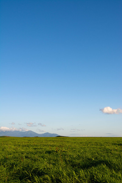 夏季草地和山脉