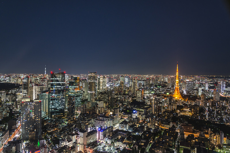 从六本木山书桌观看东京城市夜景与东京塔。日本。