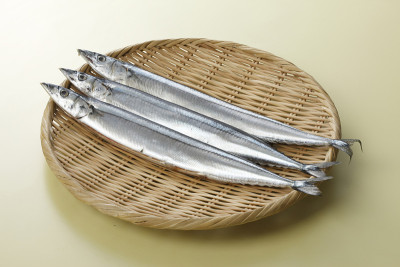 派克