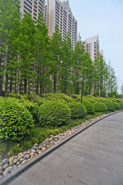 公园湖泊古建筑